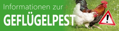 Link zur Seite Paderborner Land